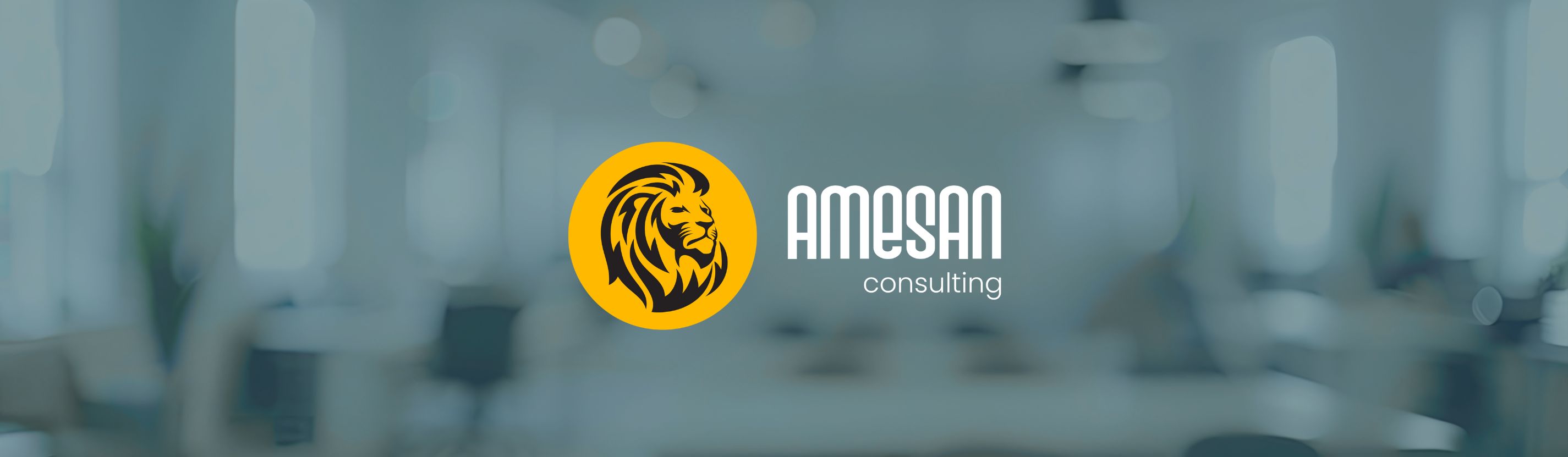 Amesan Consulting