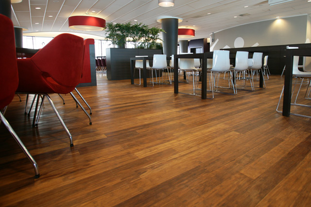 Bamboo Flooring