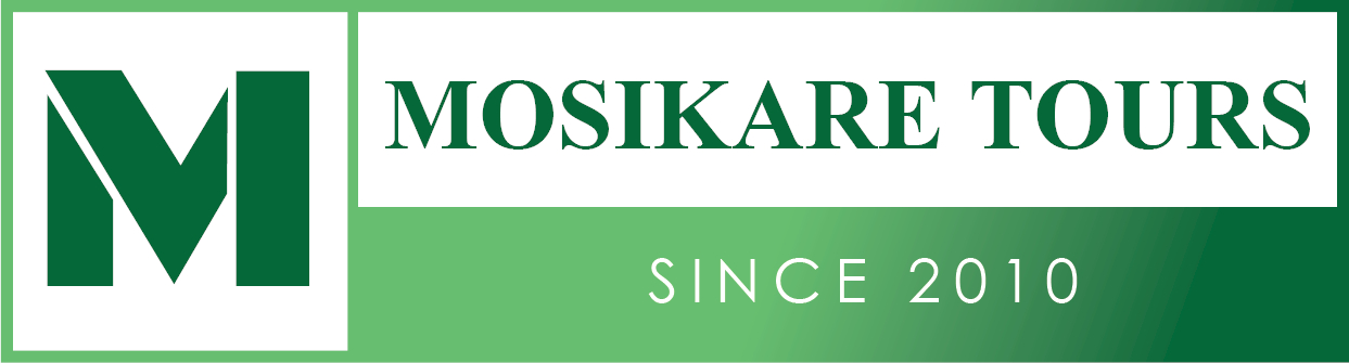 Mosikare Tours